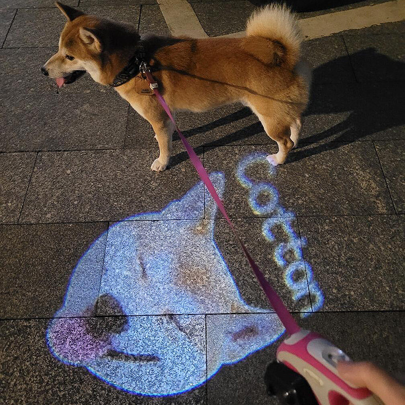 定制宠物社交灯狗狗夜间防走失遛狗灯宠物发光项圈挂牌防丢失神器