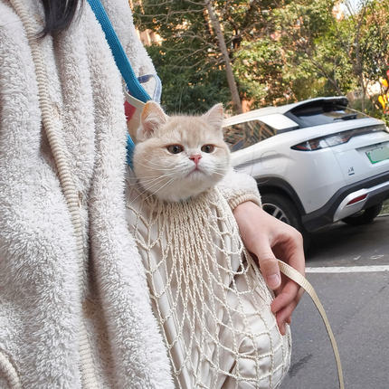 猫包外出便携轻便款大容量单肩包小猫防应激逛街神器宠物出行包