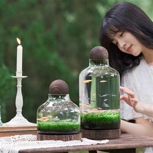 玻璃鱼缸鱼d虾水草自循环微景观办公室迷你植物免换水打理生态鱼z