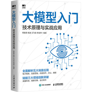 正版大模型入门技术原理与实战应用程絮森杨波王刊良李浩然