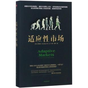 正版适应性市场罗闻全著美罗闻全译