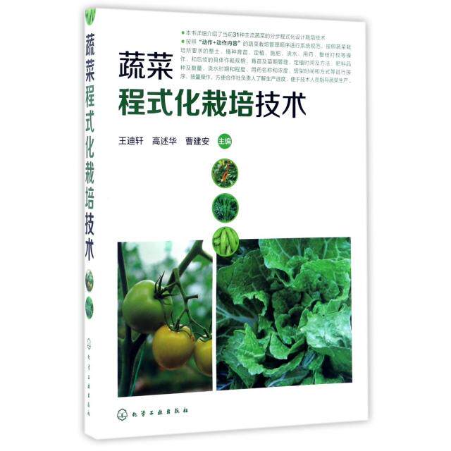 正版蔬菜程式化栽培技术王迪轩高述华曹建安主编