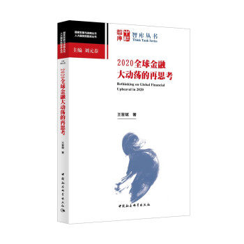 正版2020全球金融大动荡的再思考王晋斌