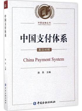正版中国支付体系励跃