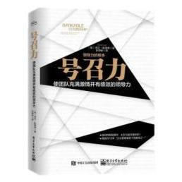正版号召力使团队充满激情并有绩效的领导力塔莎欧里希TashaEurich著孙春岭译