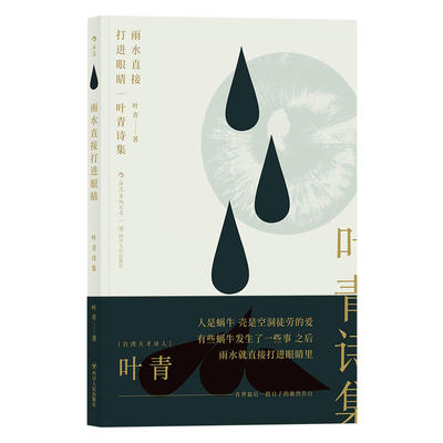 正版雨水直接打进眼睛叶青诗集叶青后浪