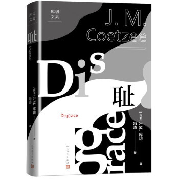 正版耻库切文集诺贝尔文学奖得主JM库切第一代表作经久不衰的畅销之作人民文学全新译本南非JM库切著冯涛译