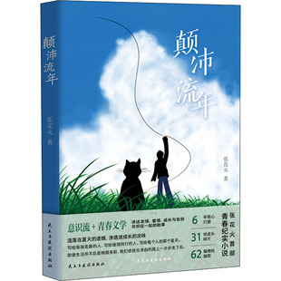 故事张花火 青春文学讲述友情爱情成长与告别交织在一起 正版 颠沛流年意识流