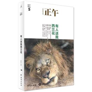 正版正午5有人送我西兰花正午故事著张旖旎罗丹妮编