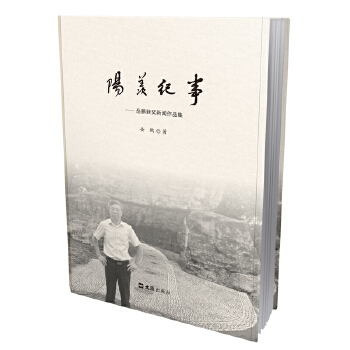 正版阳羡纪事岳鹏获奖新闻作品集岳鹏