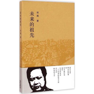 正版未来的祖先穿过心头的时光之剑安妥自我的灵魂之书花城杂志主编田瑛散文选集田瑛