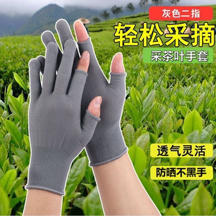 采茶专用手套防晒采摘防护男女快递打包工作分拣干活专用春夏薄