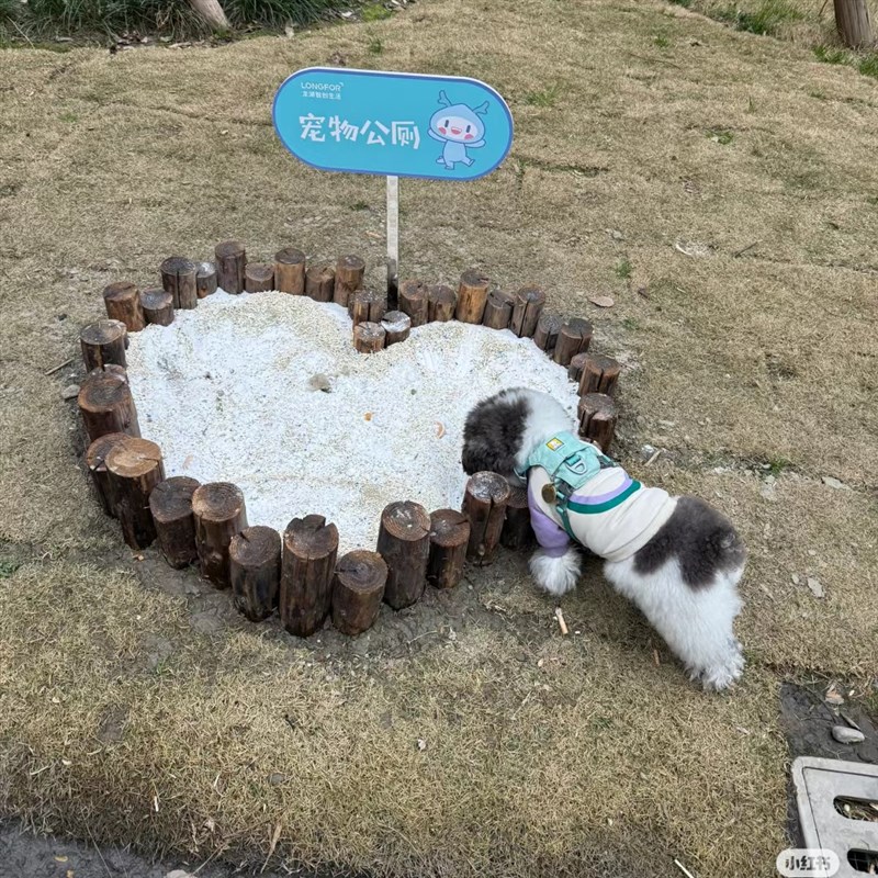 户外小区宠物狗宠物猫专用厕所公厕E护栏打桩木庭院美化宠物摆件
