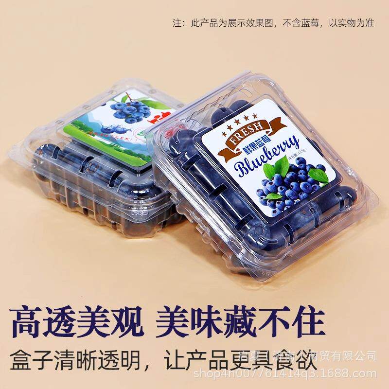 热销蔓越莓125g克加厚透气树莓透明盒子商超市保鲜盒一次性蓝莓包