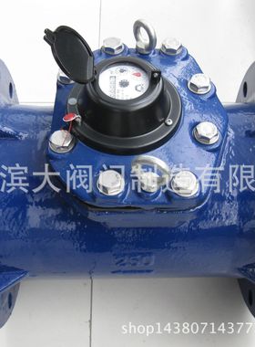 滨大阀门牌高压水表冷水表 水表/机械水表 LCG 25公斤 高压水表