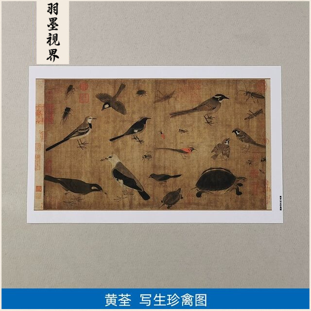 高清原大五代黄筌写生珍禽图国画工笔画昆虫鸟雀线描微喷装饰画图片