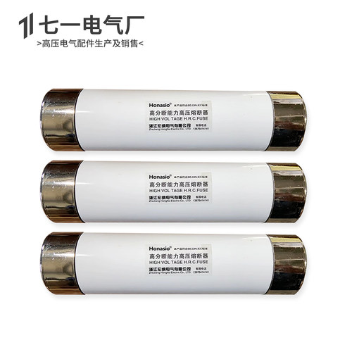 50x195 XRNP1高压熔断器保险熔管PT电压流互感器XRNT 6.3A 10安16