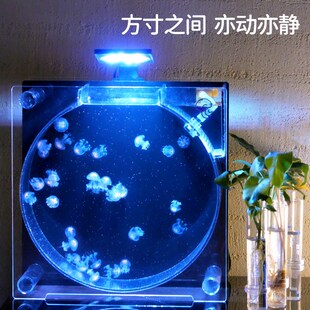 热销家庭水母饲养缸水母缸桌面展示缸水族生态鱼缸赤月海月摆摊养