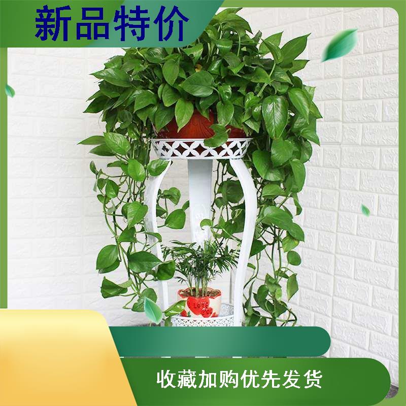 热销摆件客厅电视柜落地两边旁边沙发办公室绿植大件欧式家居摆设