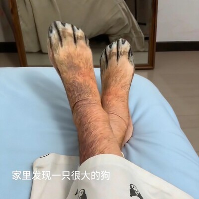 保暖小狗爪袜子动物爪子中筒袜个性整蛊道具脚蹄猫爪趣味搞笑棉袜