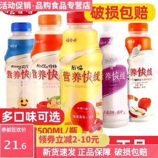 正品新货娃哈哈营养快线500ml瓶整椰子味原味办公室饮品早餐饮料