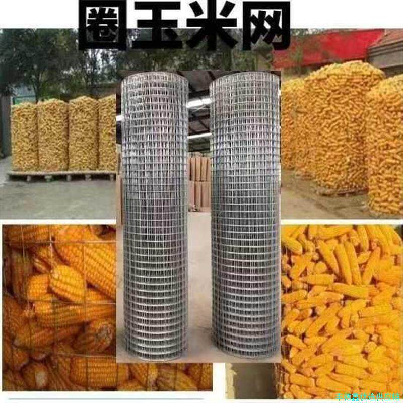 (圈玉米网)加粗圈玉米铁丝网钢丝网玉米晾晒网玉米粮仓网防潮*