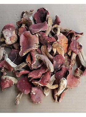 生红菌干货500g菌湖南IYC特产菇野山红菇野生菌杂菌子红蘑干野菌