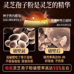 长粉白山头道灵芝孢粉子正品野生散装250g林芝袍子ALX灵芝狍子非5