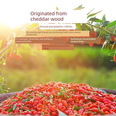 格拉三红枸杞海格青藏青藜尔木江枸杞子免洗大颗粒红枸青杞50g0*1