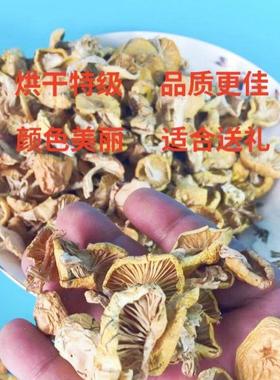 东鲜WUZ阿尔山小黄盟蘑菇野生油干 干北货小菇香菇兴安黄松蘑奶蘑