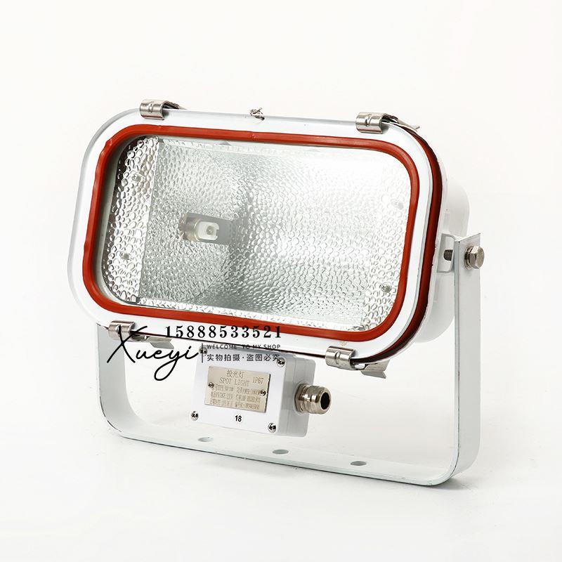 船用不锈钢投光灯TG67A-C500/C1000/TG69A探照投光照明JTT卤钨灯