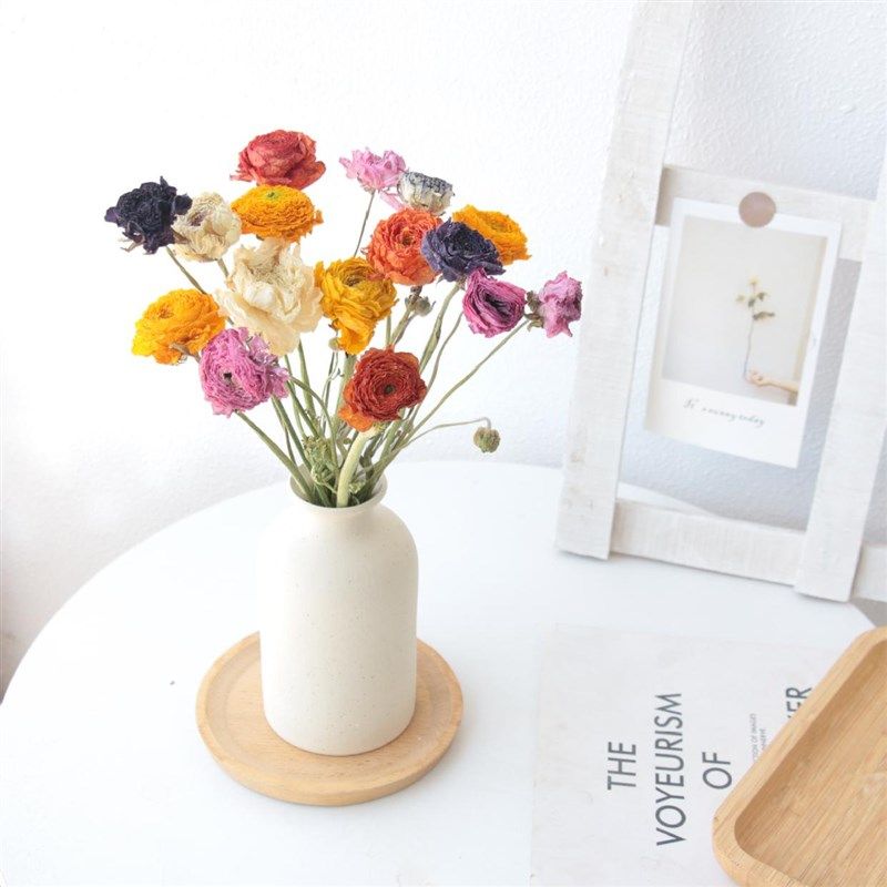 23年新货天然干燥洋牡丹真花自然风干花束家居装饰桌面摆件+花瓶,鲜花速递/花卉仿真/绿植园艺,干花,淘宝优惠券,粉丝福利购,淘宝优惠卷