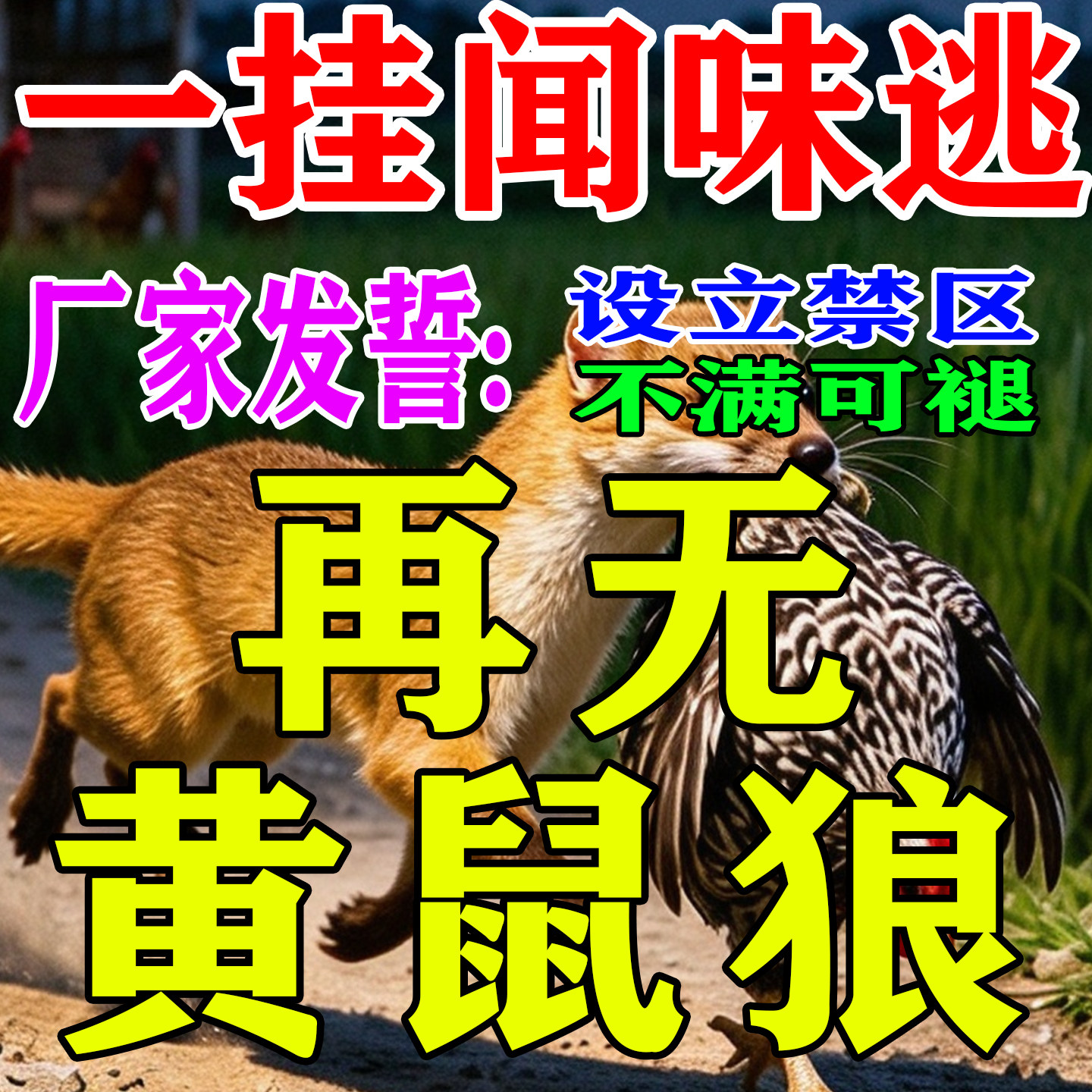 养鸡防黄鼠狼驱赶专用神器气味治养殖场鸡窝笼舍克强力星特药效丸
