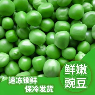 新鲜豌豆粒速冻青豌豆甜青豆冷冻麦豌豆生青豆粒蔬菜商用豌豆批发