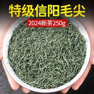 2024新茶特级信阳毛尖绿茶河南毛尖茶明前嫩芽正品 茶叶官方旗舰店