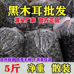 净重5斤装 黑木耳干货椴木耳秋木耳小碗耳干木耳东北特产商用