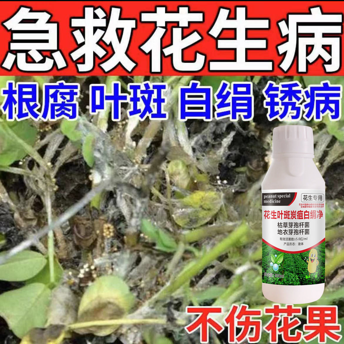 花生叶斑炭疽白绢净治疗根腐病叶斑病白娟病锈病病专用药