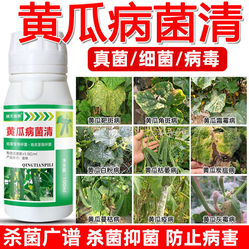 黄瓜专用药黄瓜靶斑病黄点病霜霉病灰霉病治疗蔬菜叶斑黄斑黄点