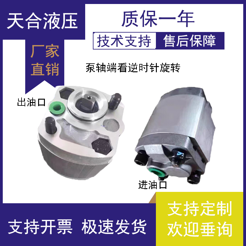CBK-F125 F130 F133 F132 F140 F148 F153 F158 F180齿轮油泵 BL