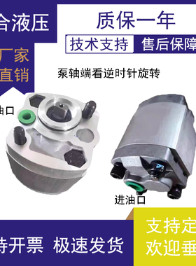 CBK-F125 F130 F133 F132 F140 F148 F153 F158 F180齿轮油泵 BL