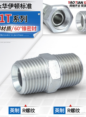 1T-SP英制1/4PT1/2外螺纹接直通变径BSPT锥螺纹ZG对丝高压管接头
