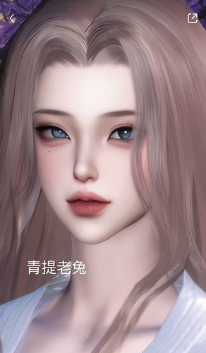 小坏狐狸｜青提老兔Rabbit 逆水寒手游捏脸女角色通用