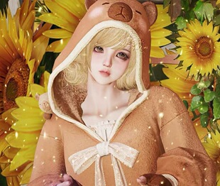 惜惜 明日之后脸码经典版数据 新角色不可用 发货后不退不换