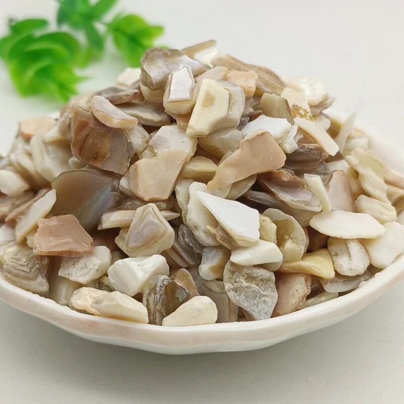 厂家现货批发天然贝壳砂鱼缸造景砂不规则贝壳片地坪骨料贝壳碎石