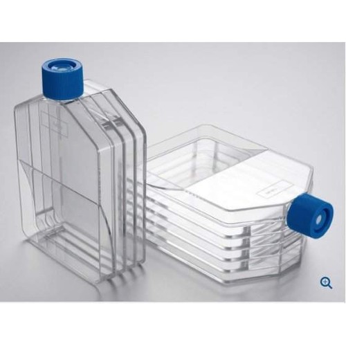 Falcon 25cm2 矩形斜颈细胞培养瓶，带塞子密封螺丝帽 货号35308