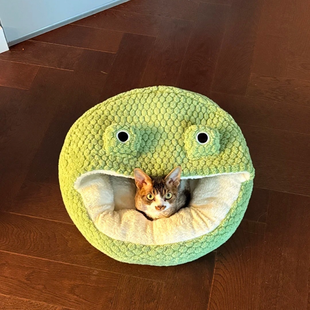 绿青蛙圆形半开式秋冬保暖宠物窝