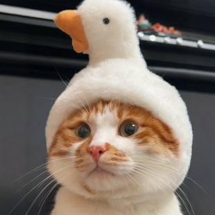 宠物可爱毛绒头套大白鹅财神三眼仔帽子搞怪装饰鲷鱼猫咪狗狗头饰