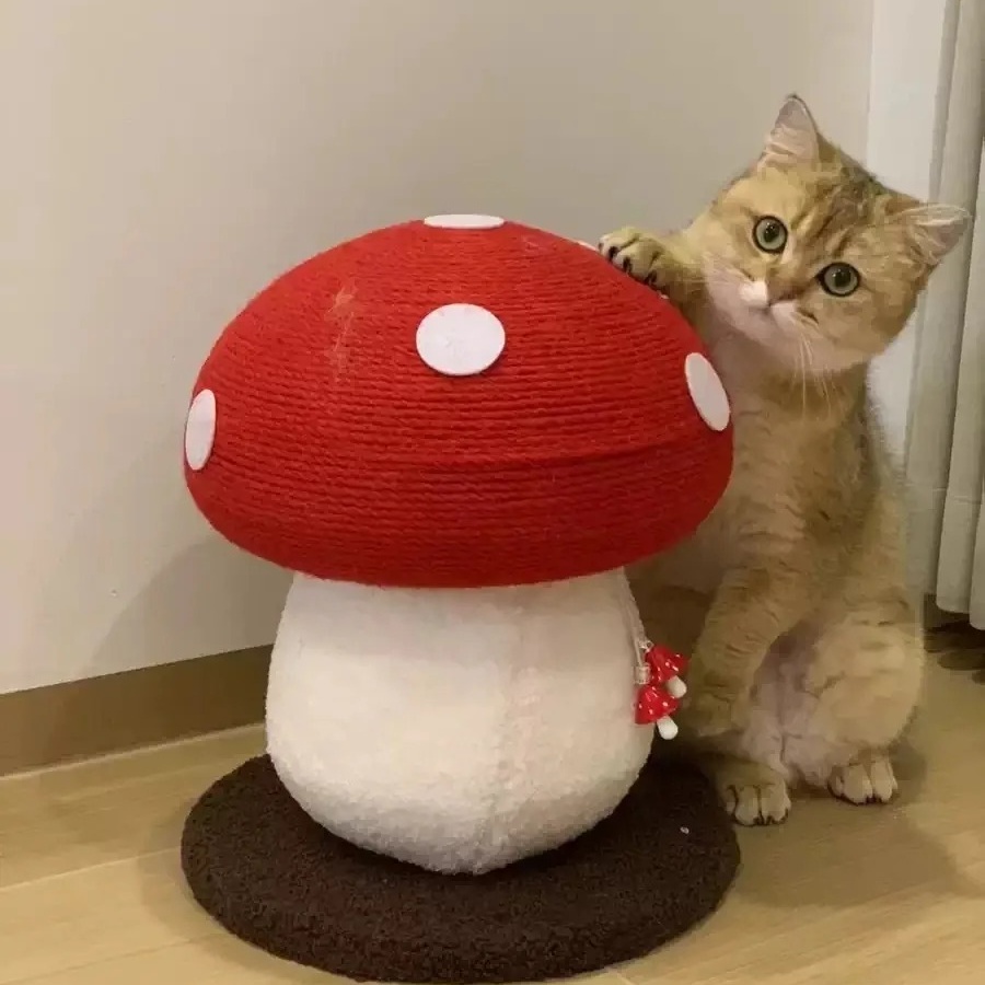 可爱红蘑菇猫抓板耐磨不掉屑剑麻立式超大号攀爬架一体四季通用款