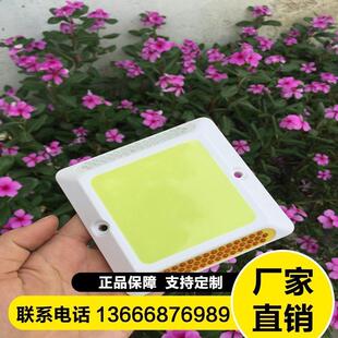 自发光道钉弯道轮廊减速辅助双面隧道灯安全灯路旁黄白地下室底角