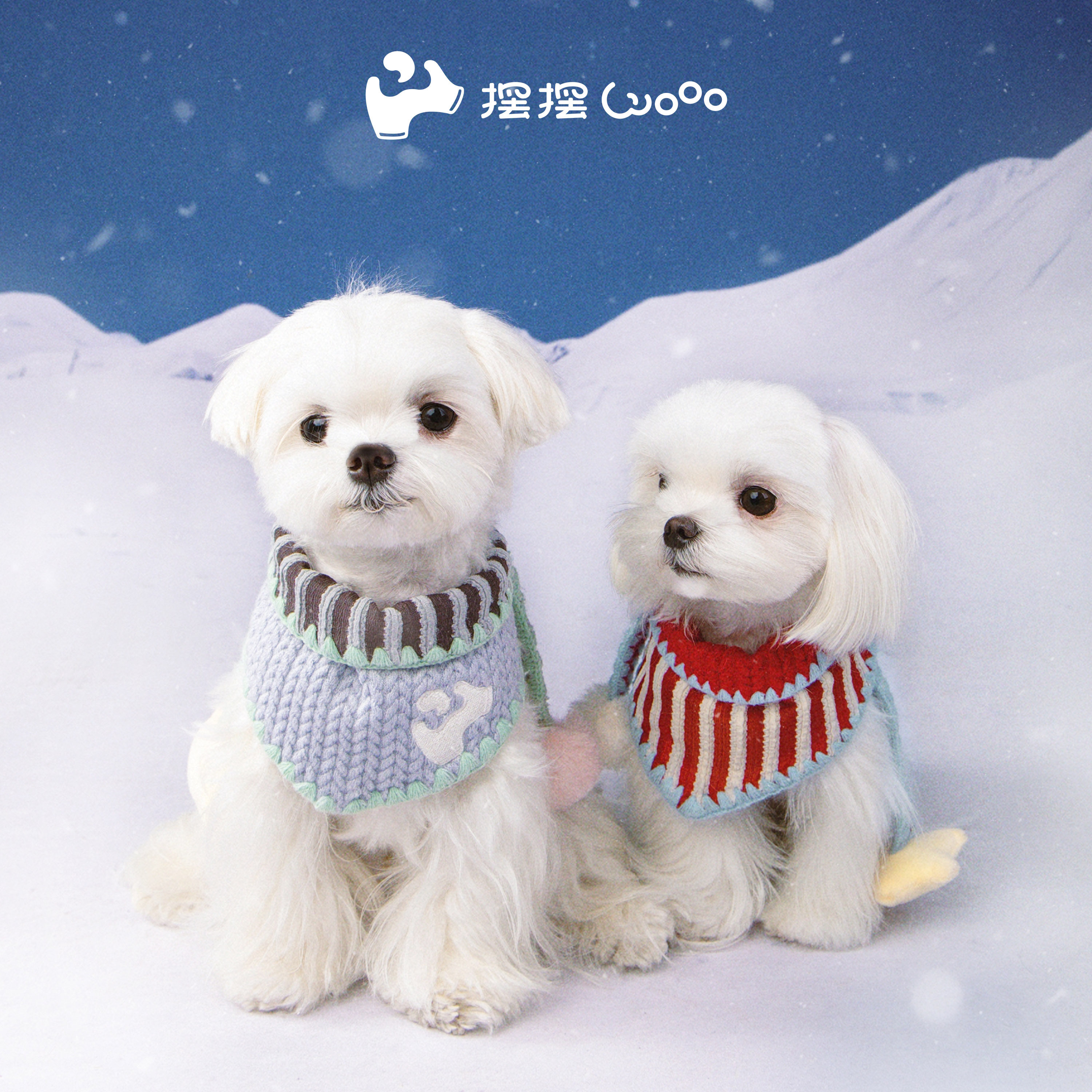 摆摆Wooo宠物猫狗圣诞新年围巾围脖配饰马尔济斯雪纳瑞百搭宠物衣